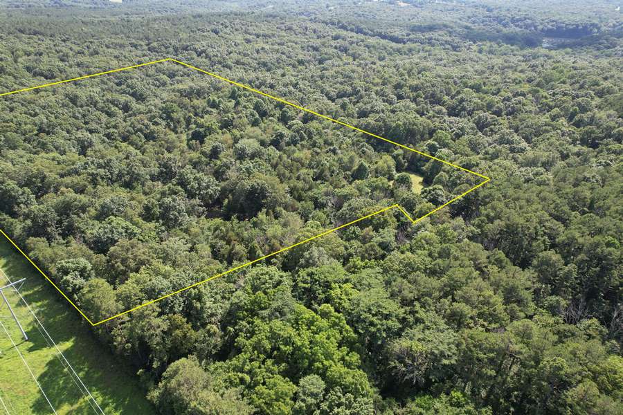 Hunting & Recreational Property Bordering Shawnee Forest